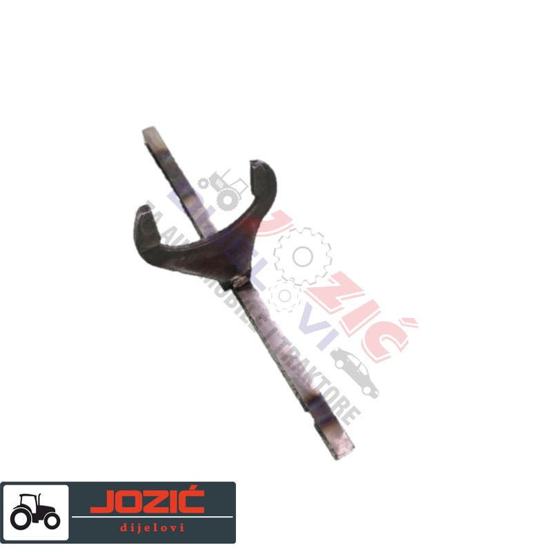 Daisy on the Ohoopee